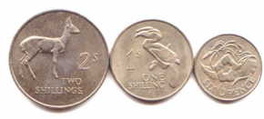 Zambia 1964 coin set Zambia 1964 coin set